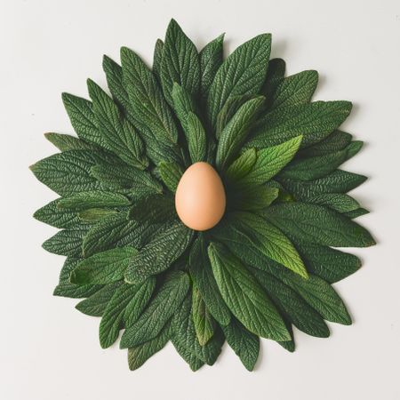 Green leaves in circle with egg on light  background