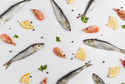 Arrangement of fish and shrimp with lemon on light background