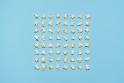 Popcorn flakes aligned symmetrically on a blue background