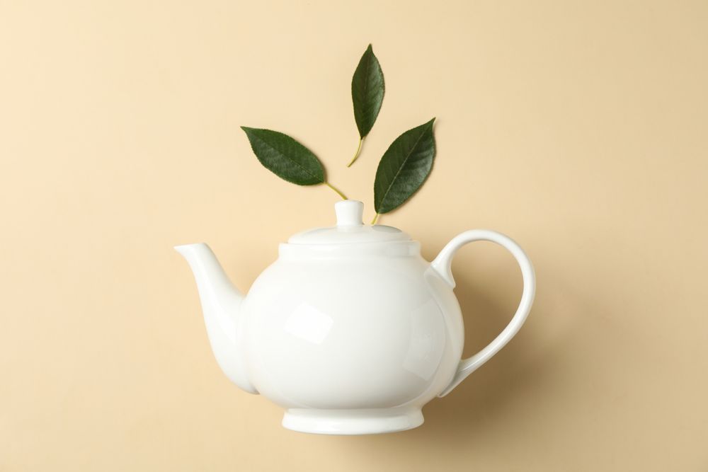 teapot and leaves on color background, space for text