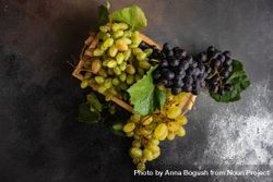 Top view of fresh green & red grapes with leaves bDjYXQ