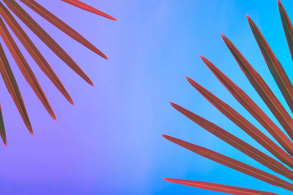 Tropical and palm leaves in vibrant bold gradient holographic neon colors, with copy space
