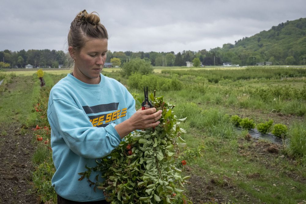 Copake, New York - May 19, 2022: Woman standing with fresh flowers she just cut