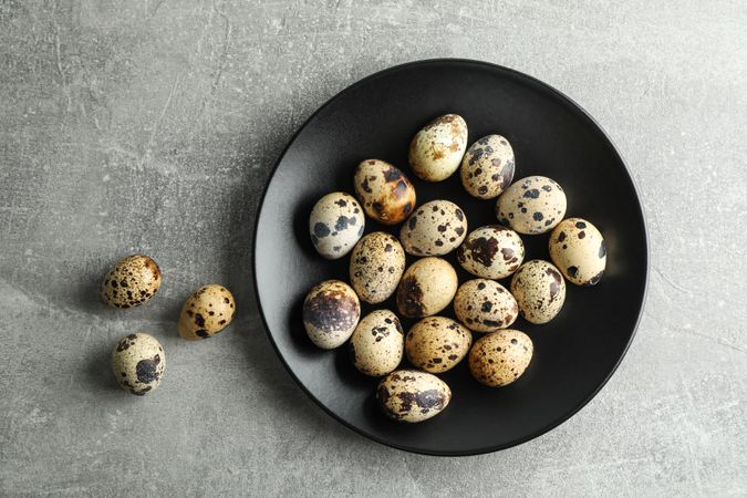 Quail eggs in plate on gray background, space for text