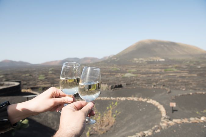Crop hands clinking glasses in countryside