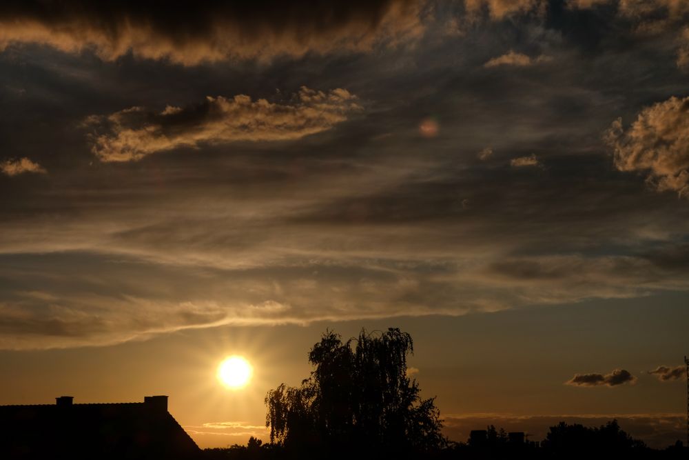 Yellow sunset with tree and roof silhouetted