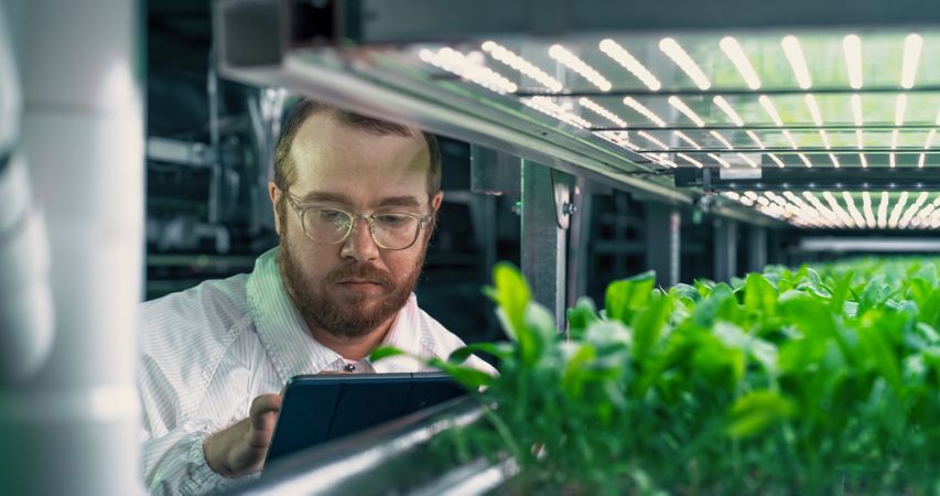 Portrait of an Agricultural Grower Working in a Corridor in Vertical Farm Facility Next to a Rack with Freshly Grown Plants.