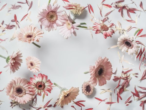 Floral frame made with flying flowers