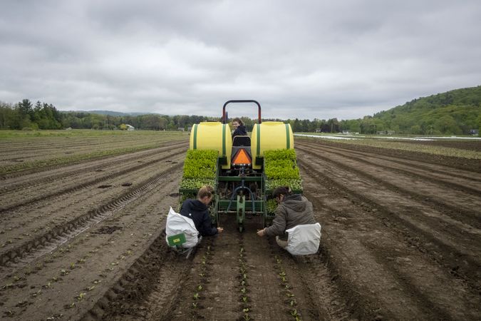 Copake, New York - May 19, 2022: Two people planting flowers after tractor