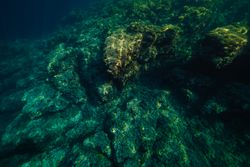 Sea bottom with coral reefs in daytime