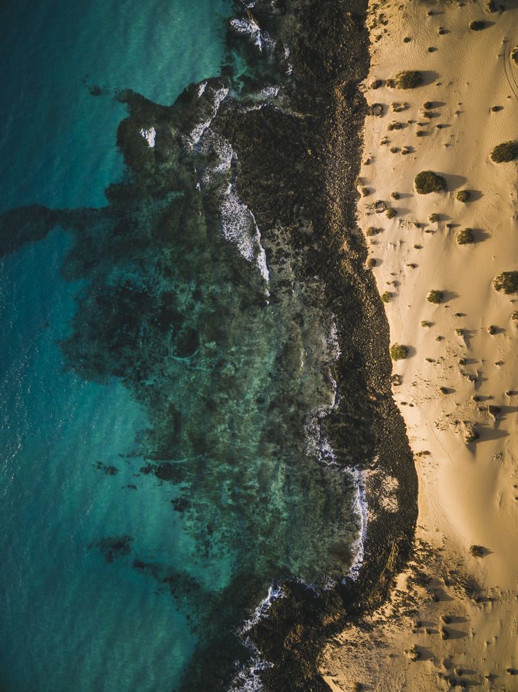 Aerial shot of coastal blue waters