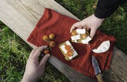 Picnic in sunlight on wood plank