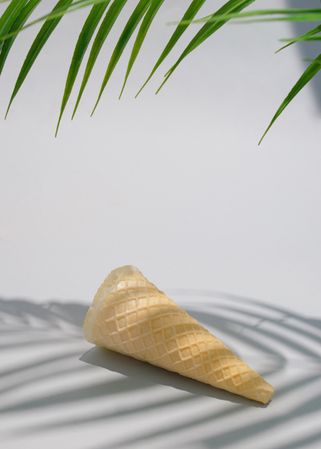Ice cream cone with palm tree and shadow