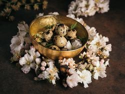 Bowl of quail eggs on table