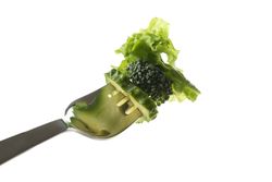 Fork with salad, cucumber and broccoli isolated on blank background