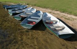 Boats on shore of lake