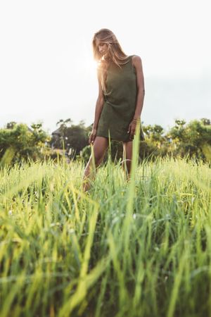 Female model in sundress in the summer field