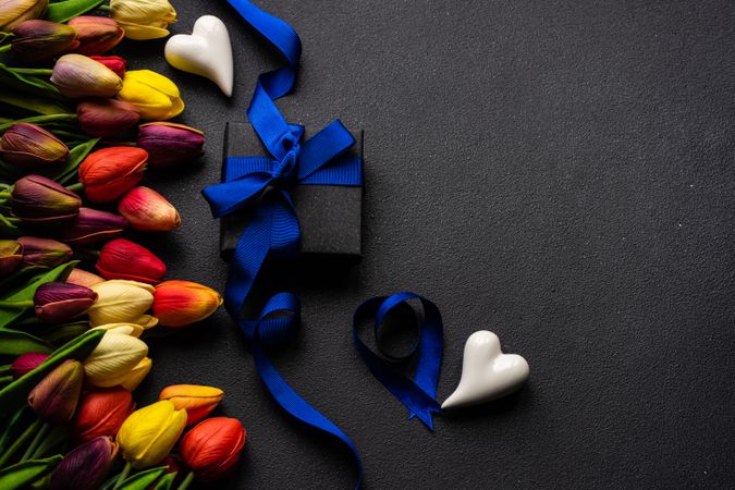 Tulips next to giftbox with blue ribbon