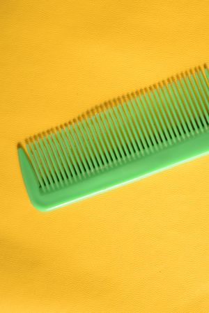Bright green hair comb in yellow shoot