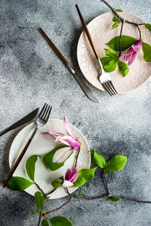 Top view of two plates with magnolia flowers on grey background