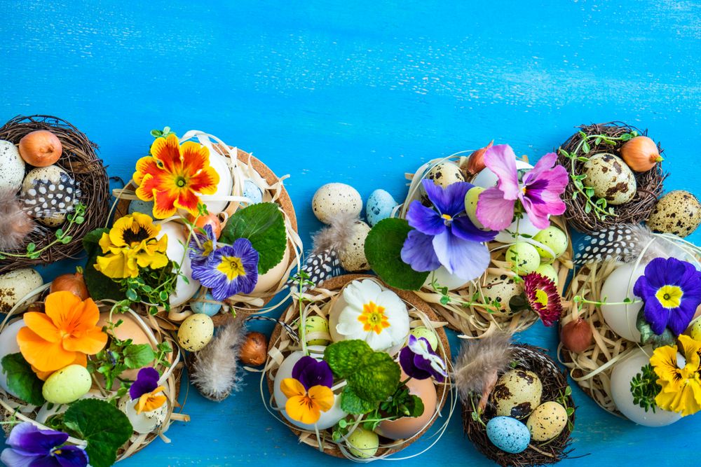 Easter holiday card concept with top view of cute eggs and colorful delicate flowers