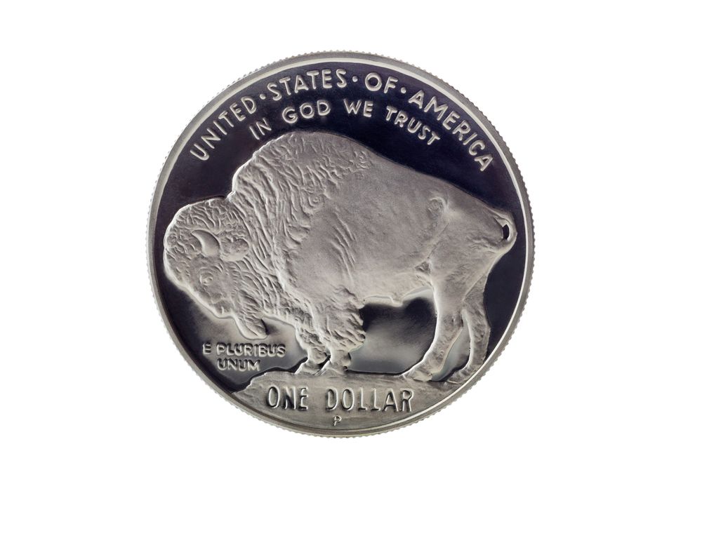 Buffalo Silver Dollar with Reflection