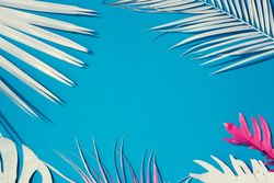 Tropical leaves on colorful bright blue background