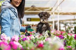 Crop smiling woman and fluffy puppy in cart