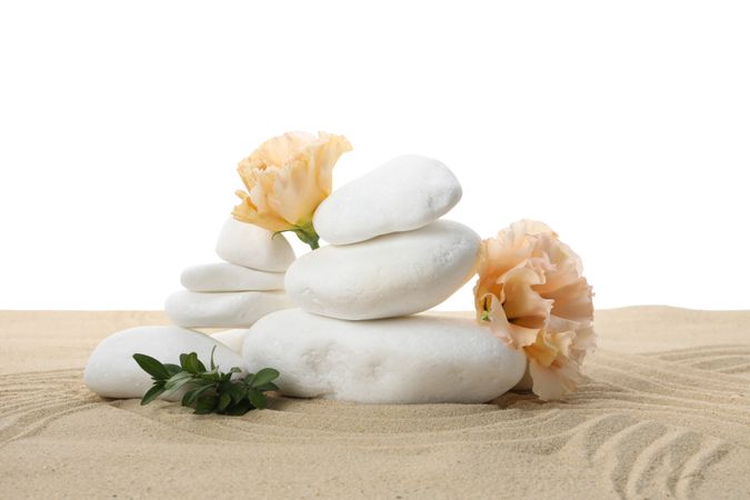 Stones and flowers on sand, isolated on plain background
