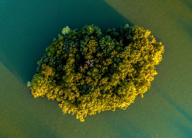 Island in a lake viewed from above