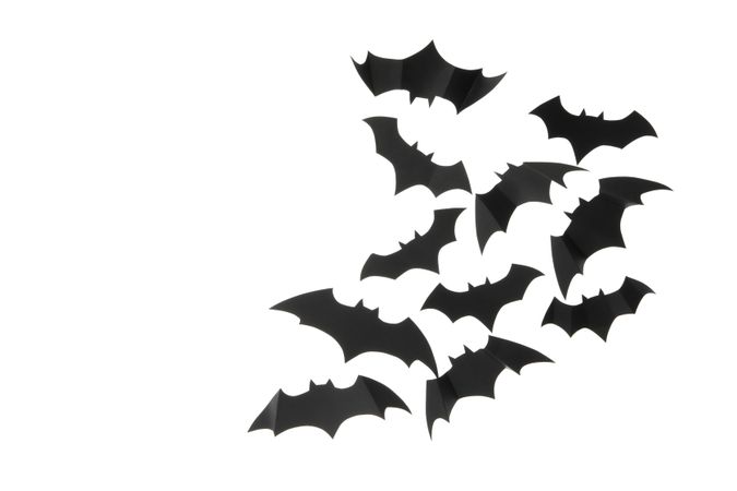 paper bats isolated on blank background