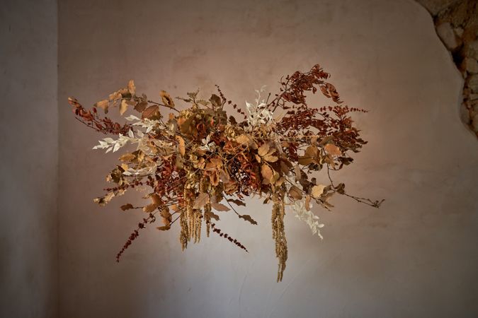 Bunch of dried flowers in air
