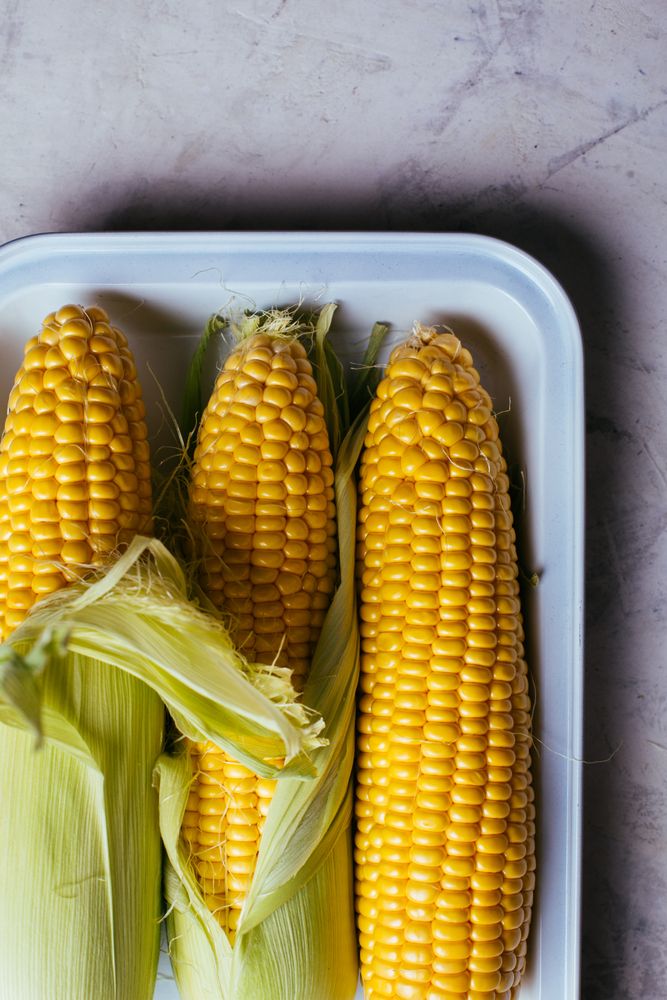 Tray with fresh corn on table