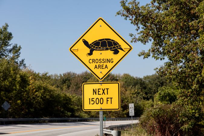 Animal-crossing sign for tortoises, South Hero, Vermont