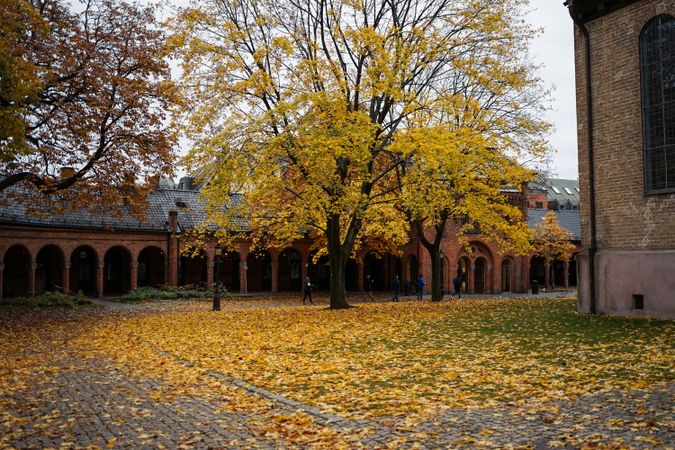 Autumn in patio of Oslo Cathedral in Norway