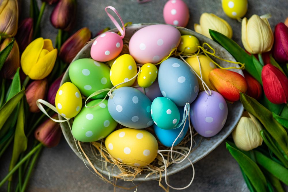 Top view of pastel eggs for spring time and tulip flowers