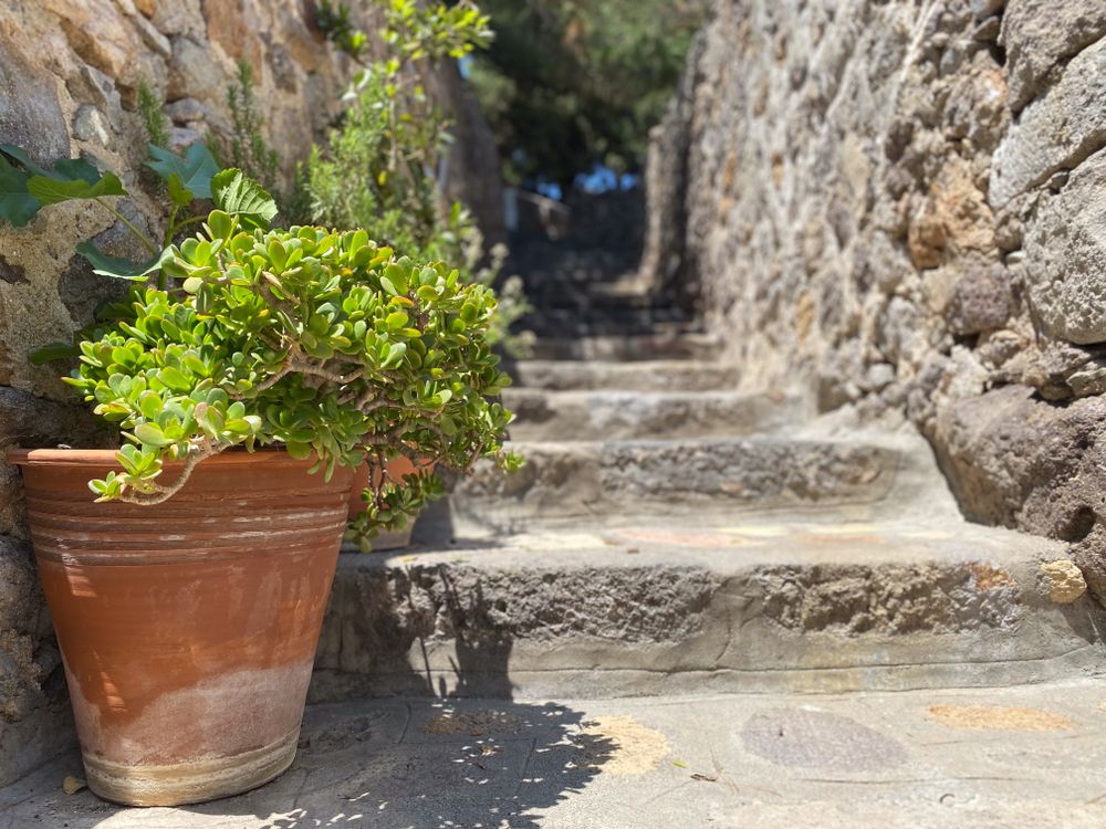 Between stone walls and up stone steps