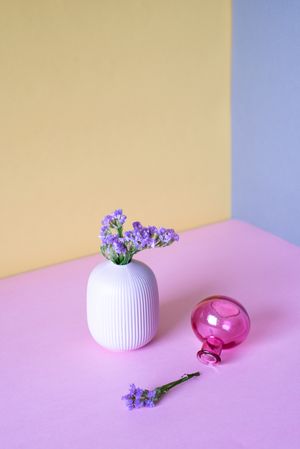 Violet sea lavender flowers in a multicolor background