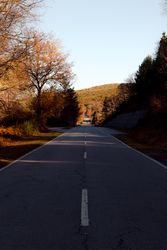 Asphalt road in autumn countryside