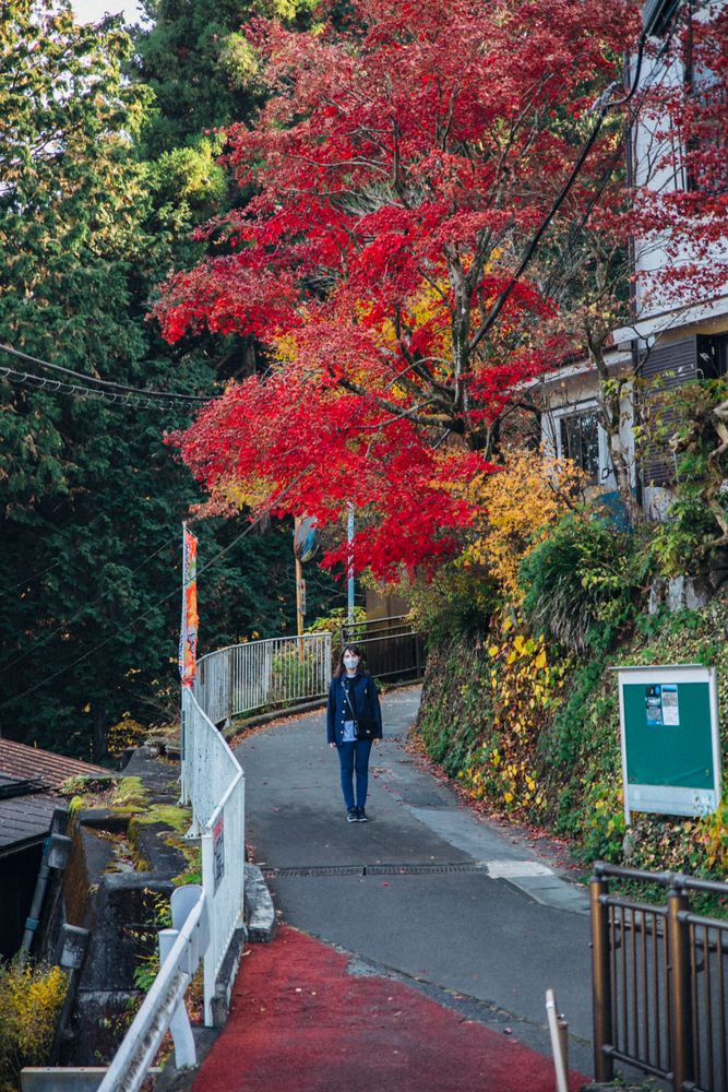 Female tourist with facemask in Japan