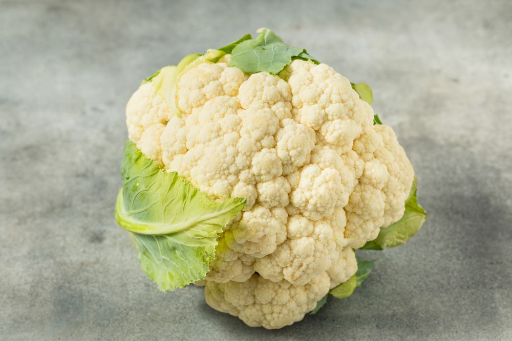 Organic Raw White Cauliflower Head