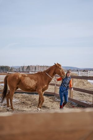 Worker caring for brown horse in open yard