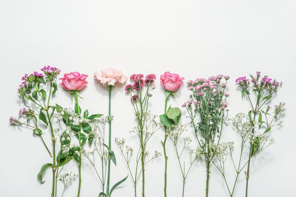 Floral background with various flowers with pink and purple petals and green leaves
