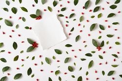 Green leaves and red berries on light  background with paper card