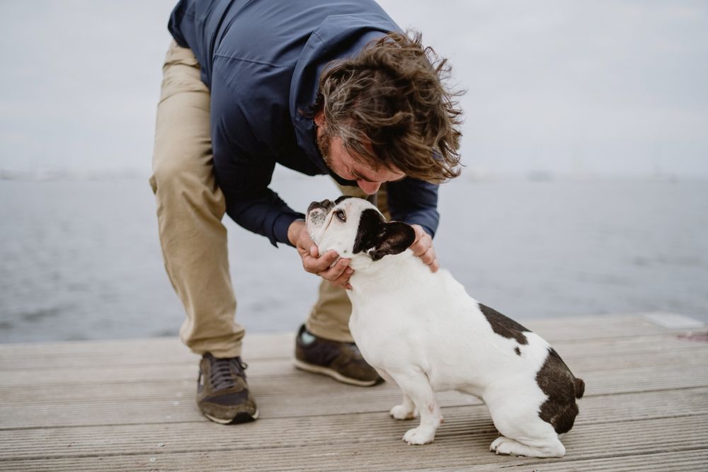 Dog sniffing hand of owner