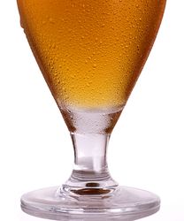 Glass of tasty light beer