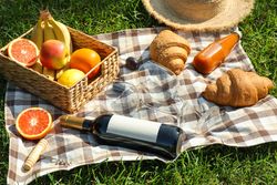 Picnic composition with wine and food against green grass. Empty space on bottle