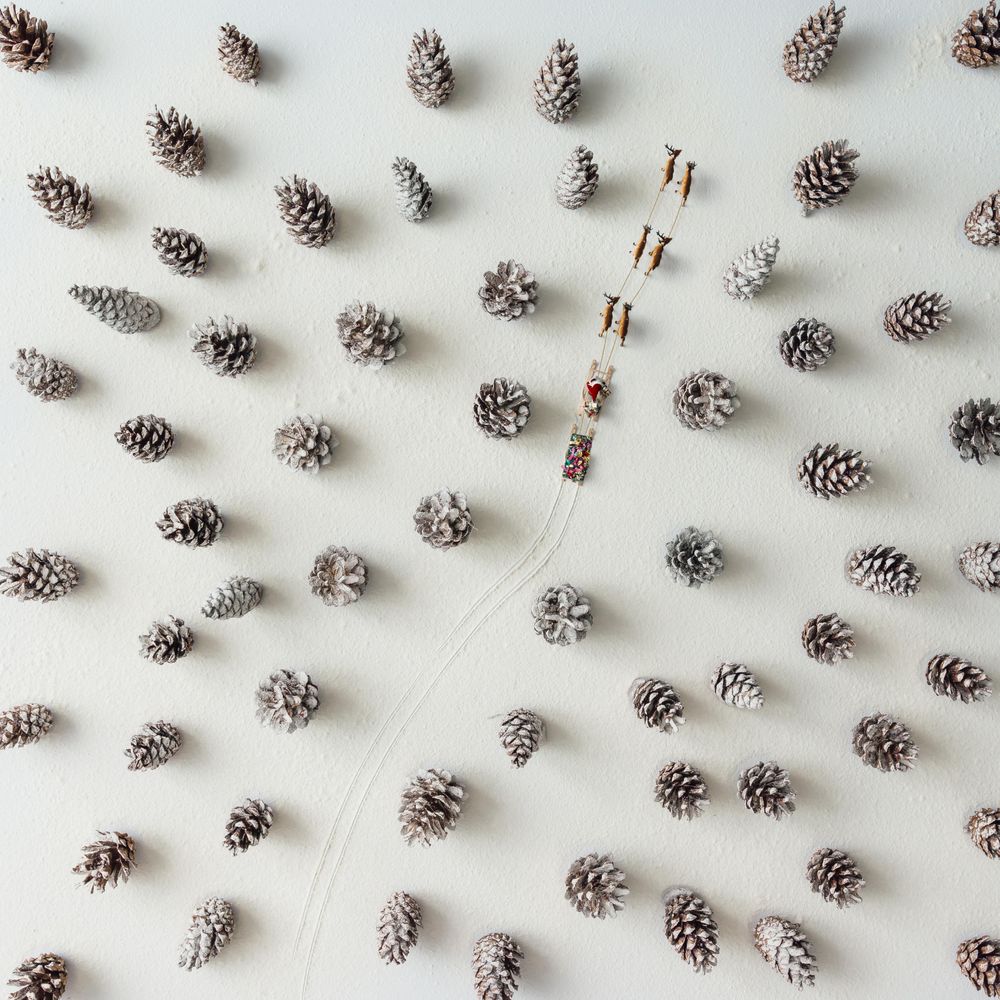 Snowy winter forest aerial made of pinecones, with sled and reindeer