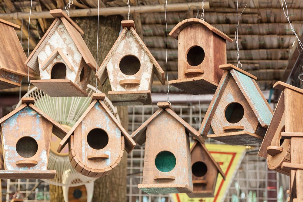 diverse wooden house of bird.