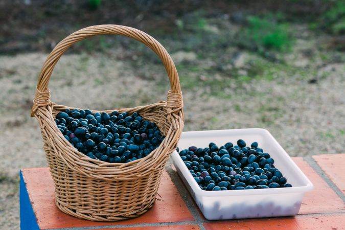 Basket and tray with black olives